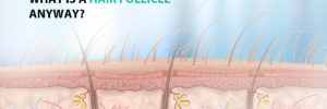 What Is A Hair Follicle Anyway?